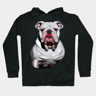 Bull dog Hoodie